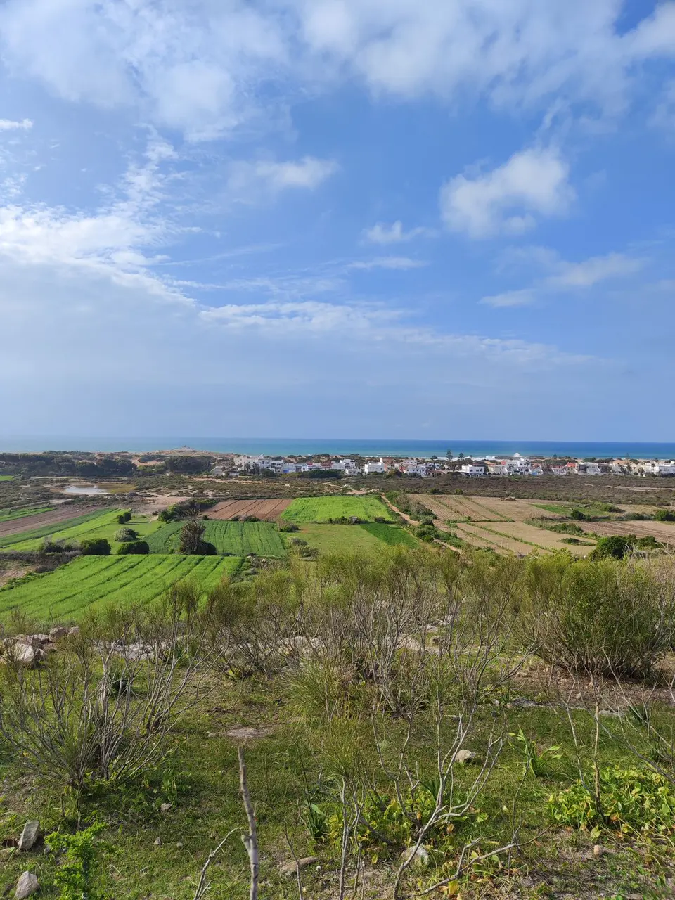 Beautiful coastal countryside landscape with green fields and ocean view.